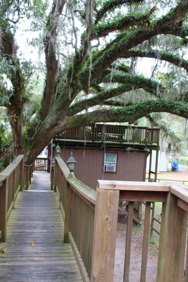 Berry Creek Cabins Bed and Breakfast Isabel Exterior foto