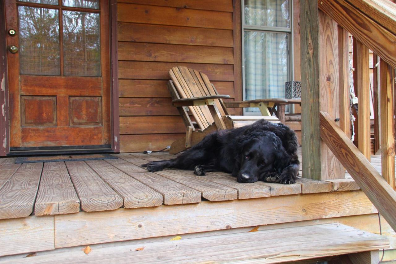 Berry Creek Cabins Bed and Breakfast Isabel Exterior foto